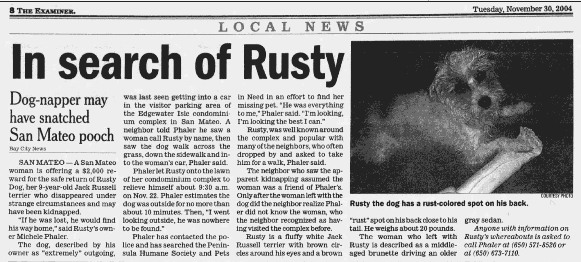 Dog abducted from Edgewater Isle