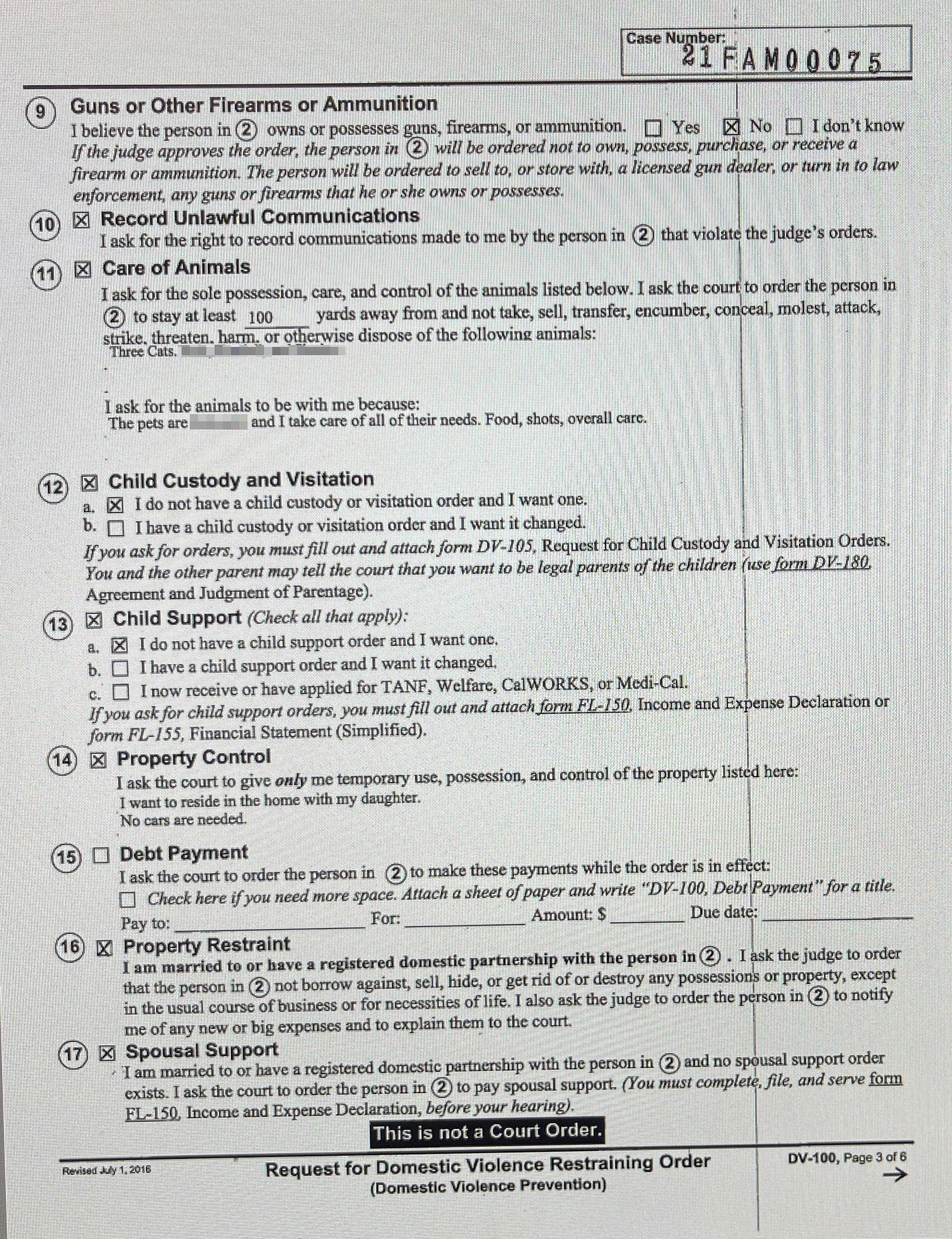 Kelly McGuirk requests spousal support via request for restraining order