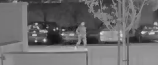 Car burglary at Edgewater Isle caught on video
