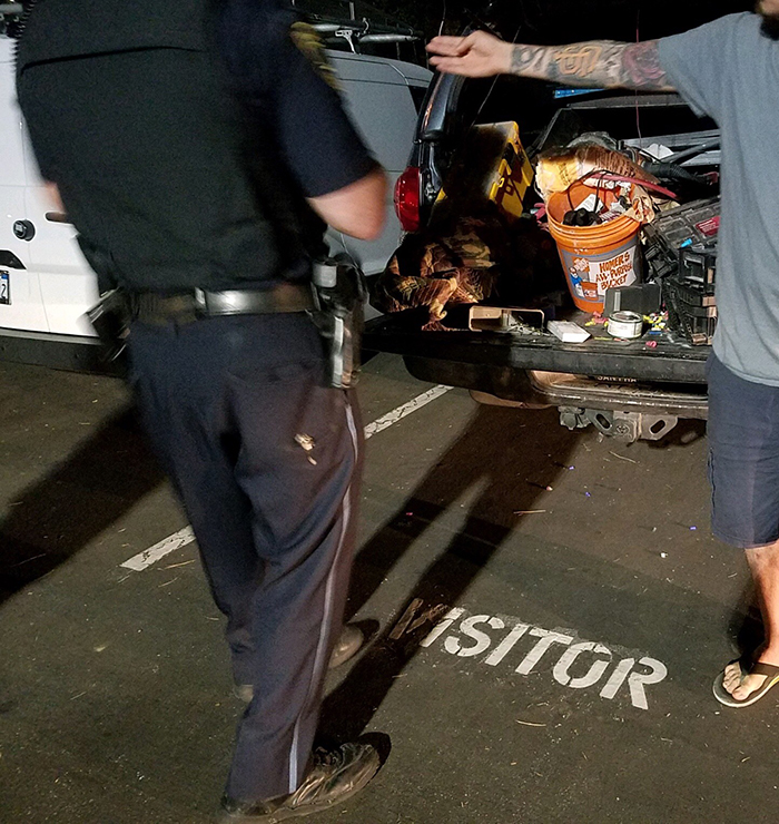 car burglary at Edgewater Isle