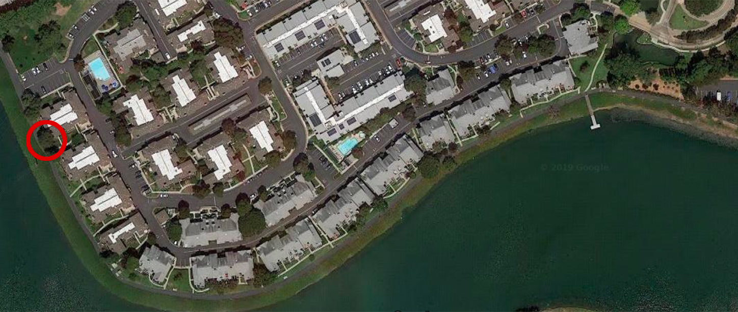 location at Edgewater Isle where tree fell over